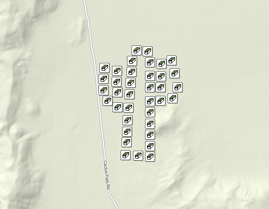 Cactus